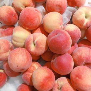 国产精品凹凸777777
